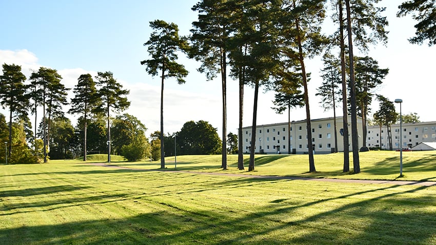 Djurg&aring;rdsplat&aring;n 6.jpg