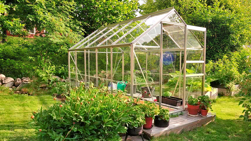 v&auml;xthus 16.9.jpg