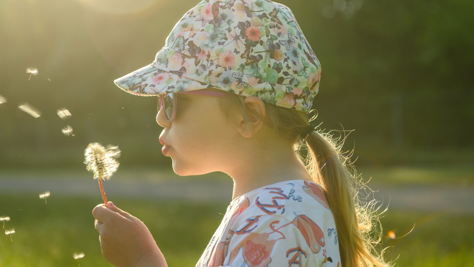 bl&aring;ser maskros.jpg