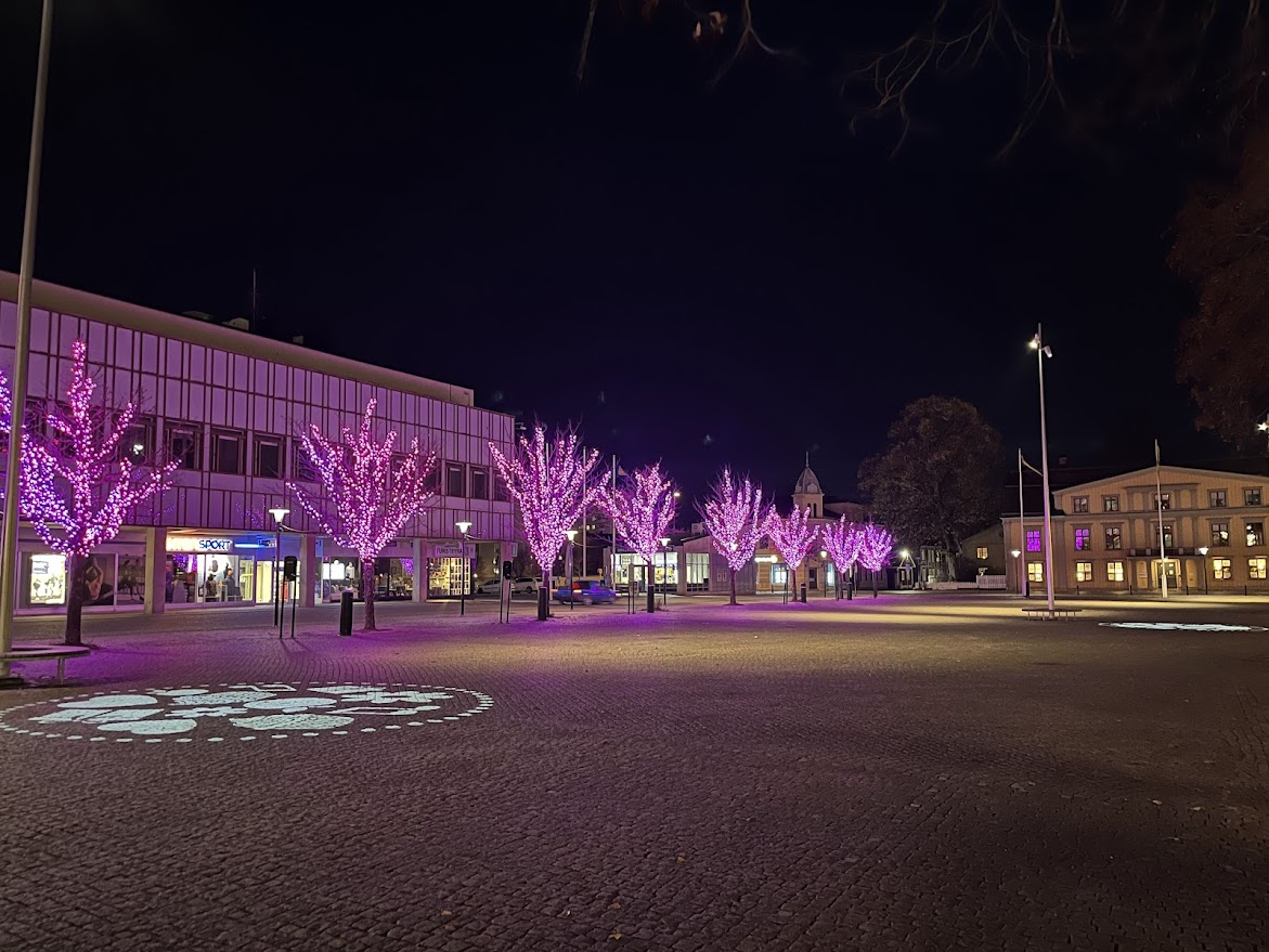 Trädbelysning Södra torget.png